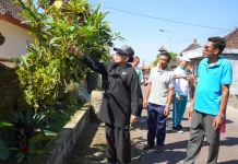 Putri Koster Tinjau Telajakan, Apresiasi Warga Rp20 Juta