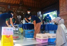 Pasca Korban Meninggal Suspect Rabies, Jembrana Gencarkan Vaksinasi dan Sterilis