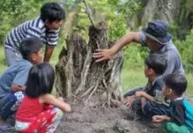 Alam Tak Pernah Berhenti Mengajar, tetapi Tidak Semua Orang Menyadarinya