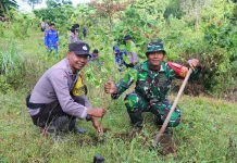 Jaga Kelestarian Lingkungan, Polres Jembrana Tanam Ribuan Pohon