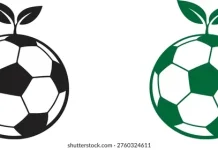 Bola Ramah Lingkungan, Ini Bahan-bahannya