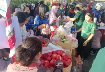 DKPKP Gianyar Gelar Gerakan Pangan Murah Jelang Galungan dan Kuningan