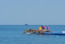 Ratusan Atlet Beraksi dalam Asian OWS Championship 2026 di Bali