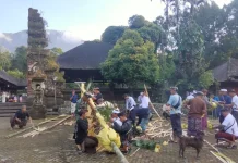 Babinsa Wongaya Gede Perkuat Gotong Royong Jelang Pujawali Pura Luhur Batukaru