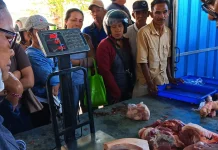 Permintaan Daging Babi Meningkat Drastis Jelang Galungan di Jembrana