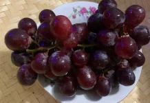 Mutiara Kecil Kaya Nutrisi, Mengungkap Manfaat Luar Biasa Buah Anggur bagi Tubuh
