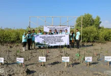Bulog Tanam 1.050 Mangrove di Bali, Perkuat Perlindungan Ekosistem Pesisir