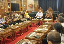 Bupati Magelang Pelajari Strategi Pembangunan Rumah Sakit di Gianyar