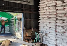 Babinsa Kelurahan Bitera Pastikan Distribusi Pupuk Subsidi Berjalan Aman
