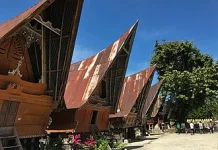 Ruma Bolon: Keunikan Arsitektur dan Pembagian Ruang Tradisional Batak Toba
