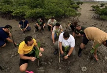 BPJamsostek Banuspa Dukung Pelestarian Lingkungan dengan Penanaman Mangrove