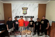 Pelaku Pencurian Dua Ekor Burung Berhasil Diungkap Polres Gianyar