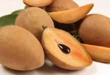 Kenapa Buah Sawo Disebut Superfood Lokal ?