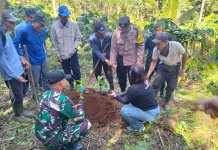 Babinsa Karyasari Gerakan Tanam Serentak, Perkuat Hilirisasi Kopi Nasional
