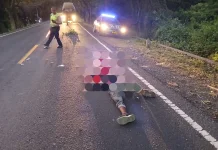 Laka Maut Gilimanuk: Pemotor Tewas di TKP usai Tabrak Truk Trailer