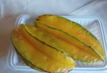 Belimbing Tak Hanya Menyegarkan namun Bermanfaat Bagi Tubuh