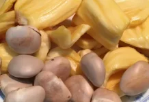 Manfaat Biji Nangka, Sumber Nutrisi yang Kerap Terabaikan