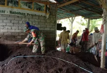 Babinsa Desa Babahan Kawal Distribusi Pupuk Organik Kelompok Tani Sipadu 659