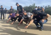 STIMI HANDAYANI Lepas Tukik dan Sisir Sampah di Pantai Muntig Siokan
