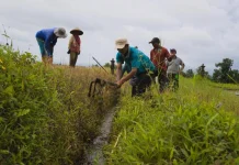Mengapa Bali Harus Menjaga Subak di tengah Pesatnya Pembangunan?