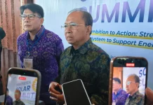 Bali Percepat Energi Bersih, Hotel Baru Wajib Gunakan PLTS Atap