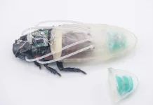 Singapura – Jepang Kembangkan Robot Biohibrida untuk Pencarian Korban Bencana