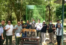 Penyelundupan 124 Ekor Burung ke Luar Bali Berhasil Digagalkan
