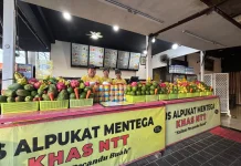 QRIS BRI Katrol Nilai Transaksi di Fruit Junkies