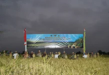 Panen Raya TNI Perkuat Swasembada Pangan Nasional bersama Petani