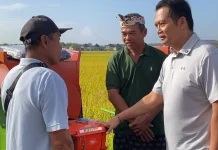 Serahkan Alsintan, Bupati Jembrana Ingatkan Kadis Pertanian Rajin Turun Lapangan