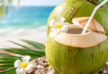 Kelapa Muda, Buah Tropis yang Lebih dari Sekadar Penghapus Dahaga