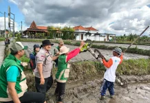 Tingkatkan Produksi Padi Gianyar, Sistem Pertanian Modern PM-AAS Diluncurkan