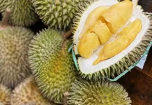 Pecinta Durian Wajib Coba! Ini Deretan Olahan Durian Kekinian
