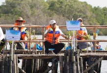 Perkuat Ekosistem, Gubernur Koster Dorong Gerakan Tanam Mangrove Setiap Bulan