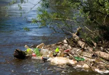Sungai di Bali Kritis Ekologis akibat Pencemaran Lingkungan