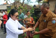 Pemkot Denpasar Perkuat Pembinaan Telajakan, Integrasikan dengan Posyandu 6 SPM