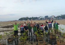 DSM Bali dan Pertamina Tanam 150 Bibit Mangrove Peringati Hari Mangrove Sedunia
