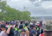 HMI Denpasar Ikut Gerakan Tanam Mangrove, Perkuat Kolaborasi Jaga Pesisir Bali