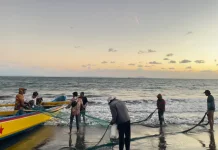 Musim Angin, Nelayan Jembrana Tetap Melaut untuk Panen Teri