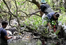 Mangrove Denpasar Selatan Terancam Sampah Plastik