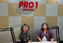 Bali Butuh Listrik Andal, PLN Komitmen Perkuat Kelistrikan Bali