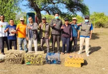 Gagal Diselundupkan ke Pulau Jawa, BKSDA Bali Amankan 284 Burung di Gilimanuk