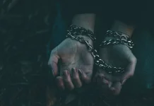 Riset dan Verifikasi Lowongan Kerja, Cara Terhindari dari Jerat TPPO