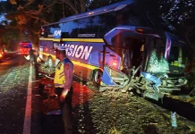 Tabrakan Bus dan Mobil di Gilimanuk, Dua Guru asal Banyuwangi Tewas di TKP