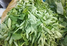 Sayur Gonde dengan Sensasi Rasa Sedikit Pahit