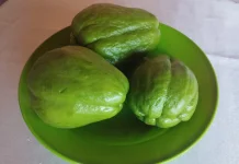 Labu Siam, Sayur Murah Kaya Serat dan Rendah Kalori
