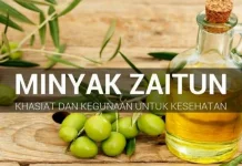Minyak Zaitun Kaya Manfaat bagi Kesehatan Tubuh