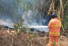 Respon Cepat Damkar Jembrana Jinakkan Kebakaran Lahan