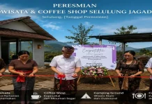 Kebun Jeruk Disulap Jadi Coffee Shop, Petani Selulung Kintamani Buka Sumber Cuan