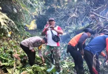 Bhabinkamtibmas Desa Tegak bersama BPBD Evakuasi Pohon Tumbang